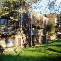 An image showing a grass gnoll outside of Rochdale Apartments.